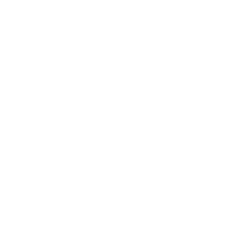 svg icon
