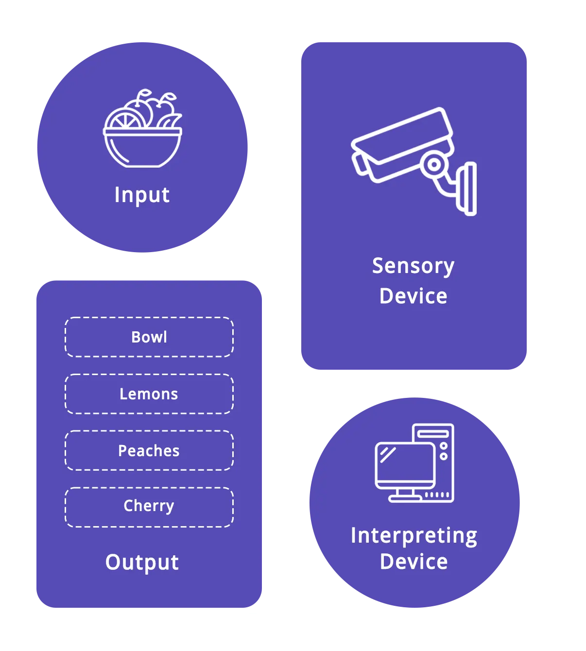 Computer Vision Development Service