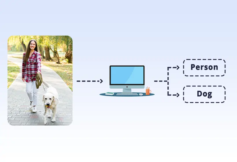 Deep Learning Image Classification