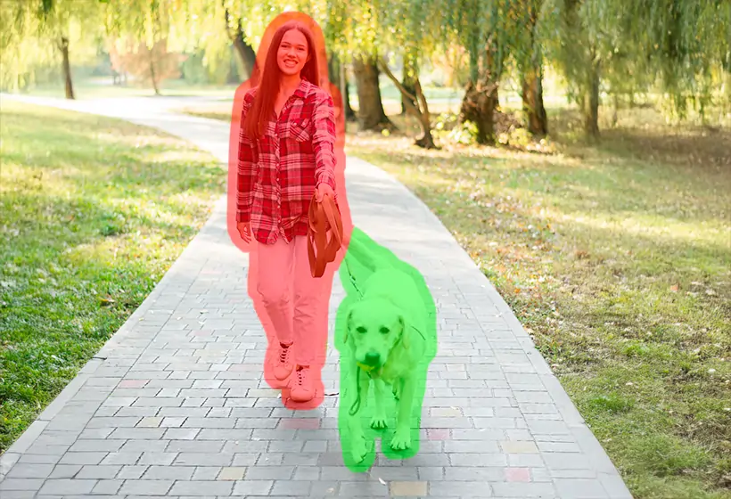 semantic segmentation in computer vision