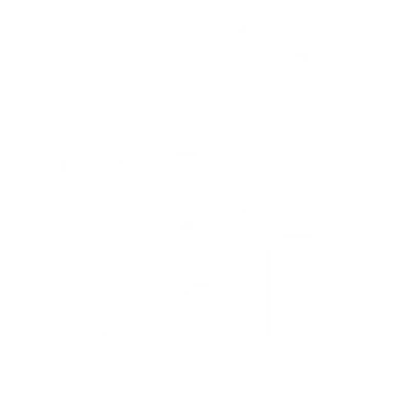 Customer Support