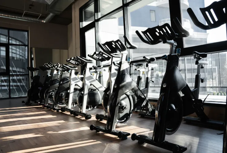 Gym management software for memberships and attendance tracking