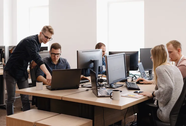 IT company management software for projects and client services