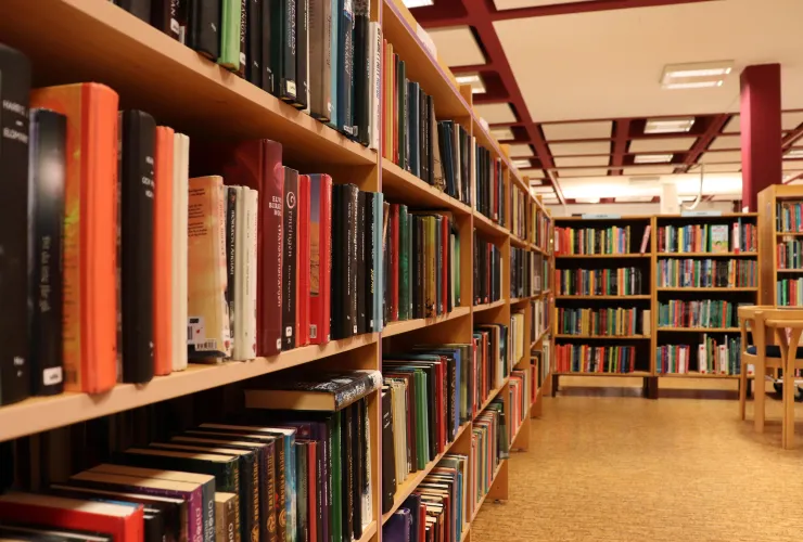 Library management system for books, members, and borrowing records