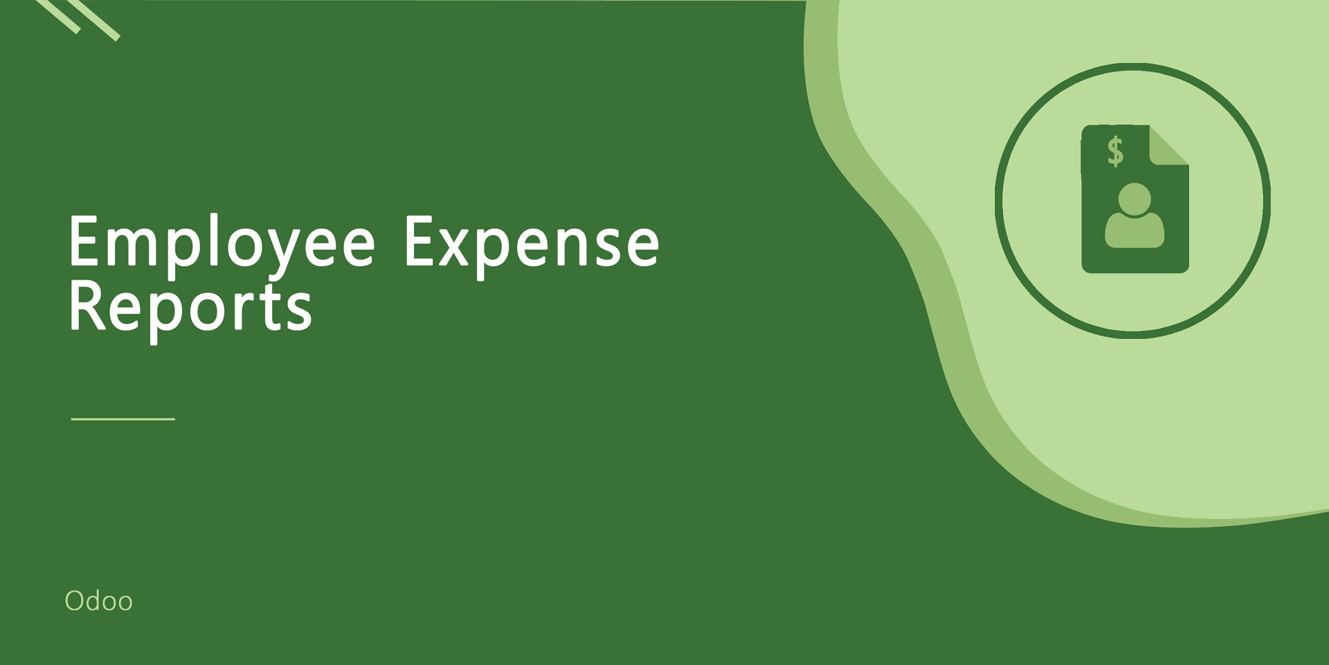 Employee Expense Reports
