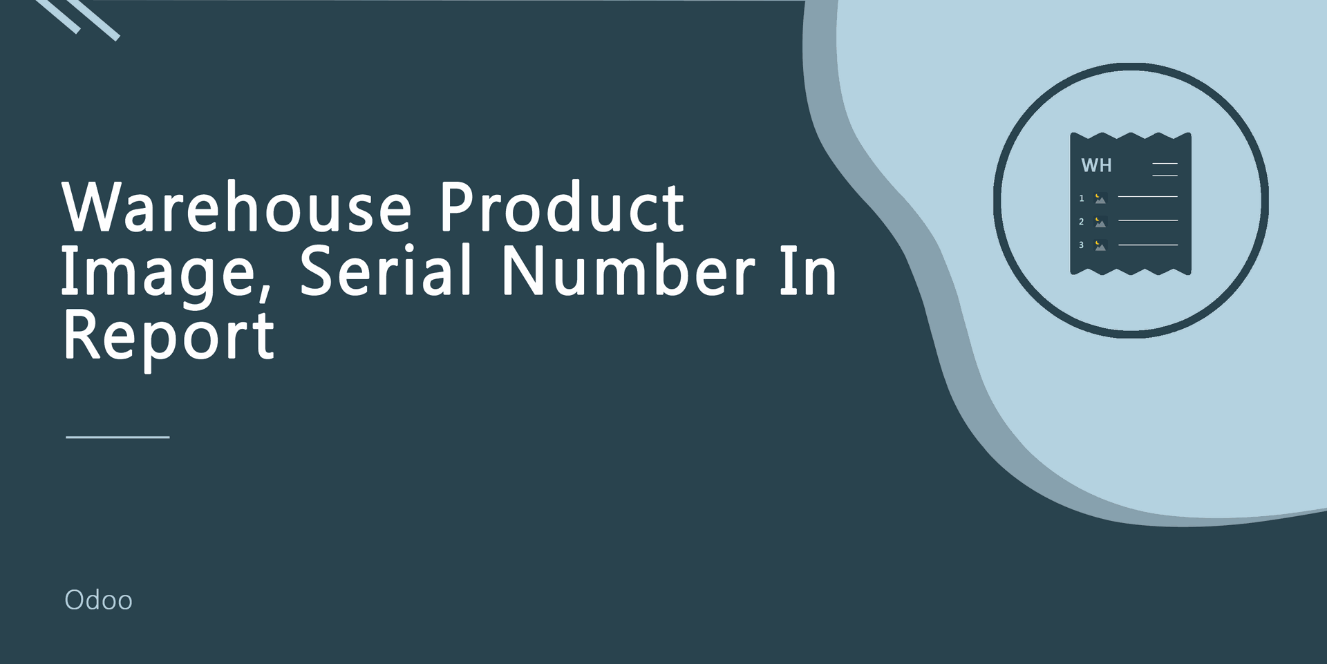 Warehouse Product Image, Serial Number In Report