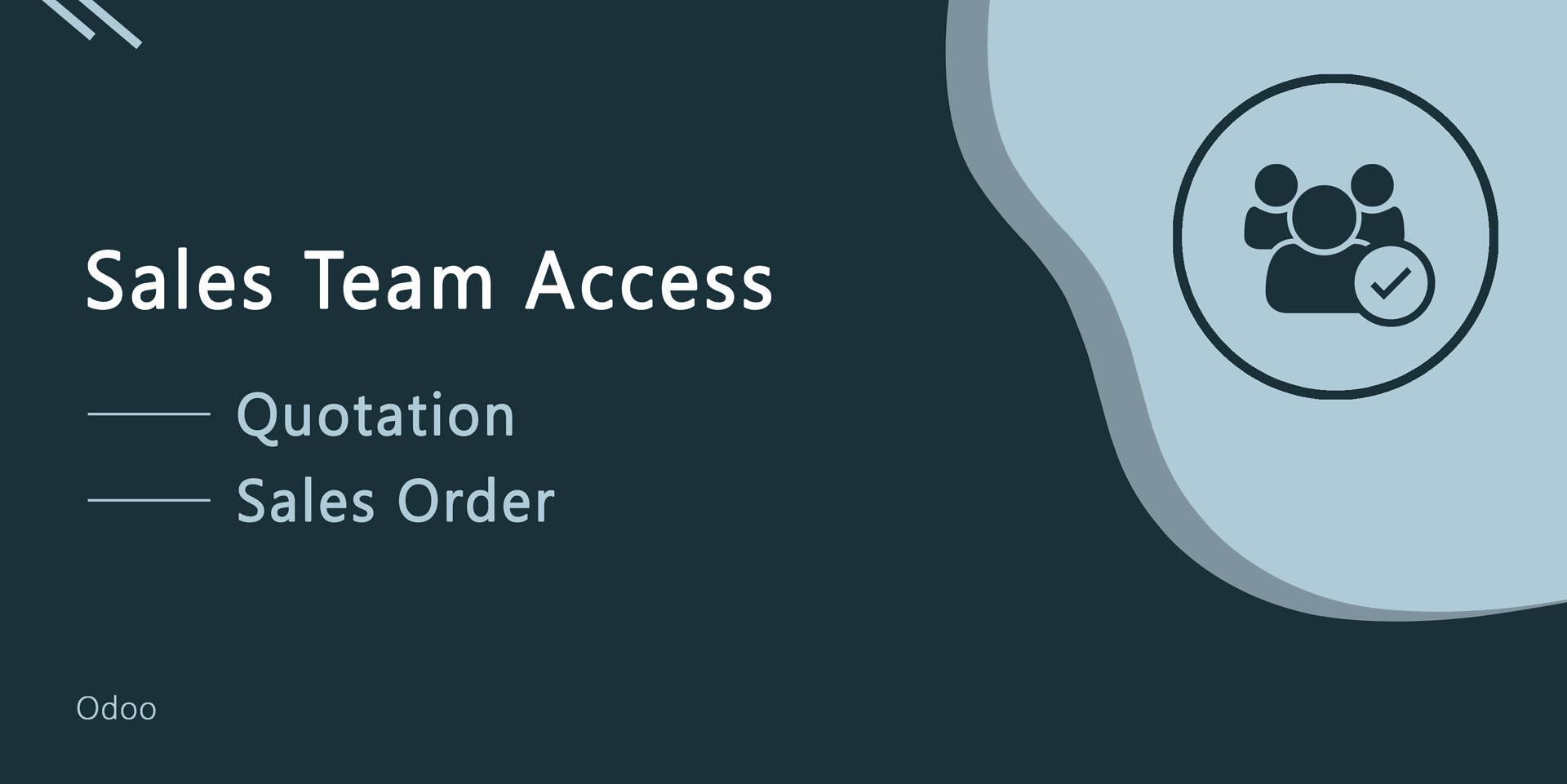 Sales Team Access
