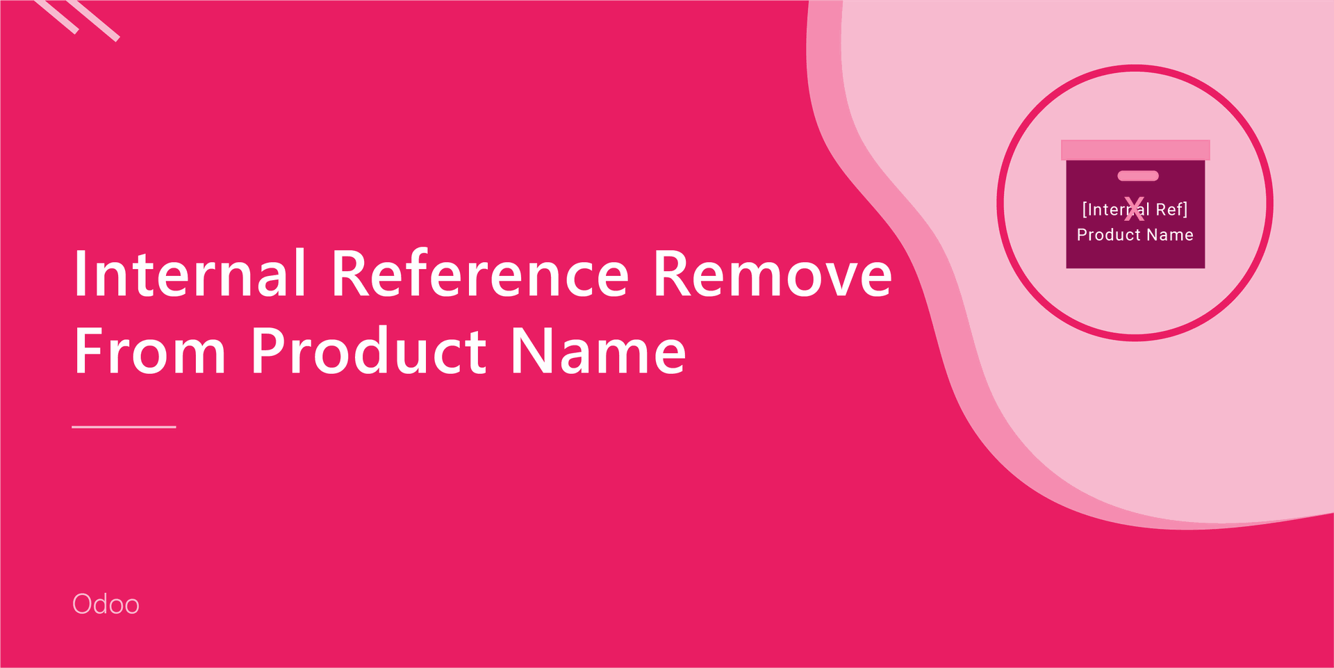 Internal Reference Remove From Product Name